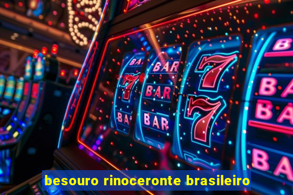 besouro rinoceronte brasileiro